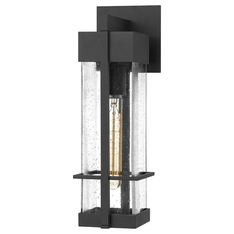 Wynn 1-Light Earth Black Outdoor Wall Lantern Sconce